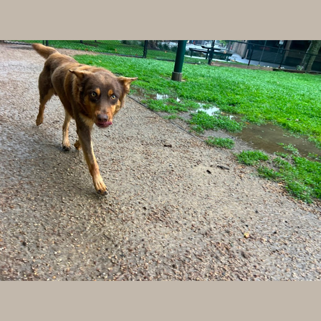 Photo of Gus
