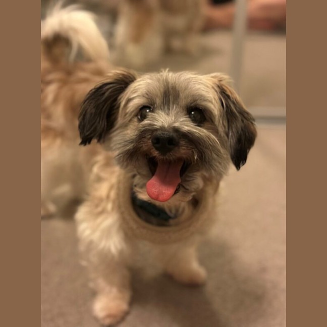 Photo of Tommy