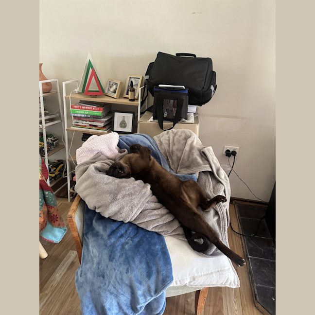 Photo of Banjo