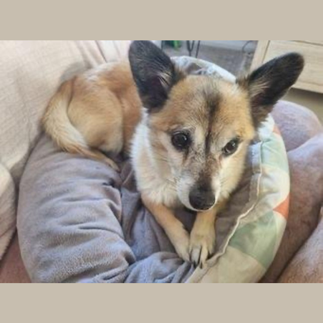 Photo of Leo O’cleary