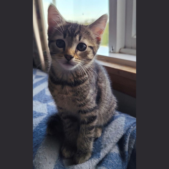 Photo of Theo