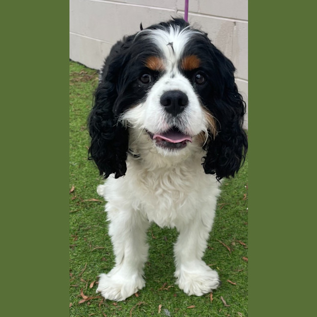 Photo of Winston