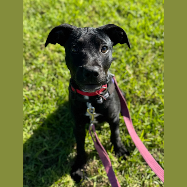 Photo of Hazel