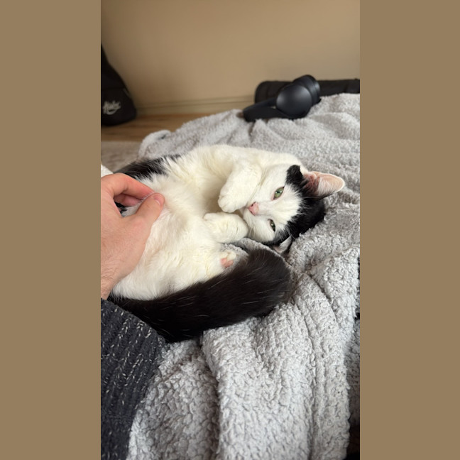 Photo of Winnie