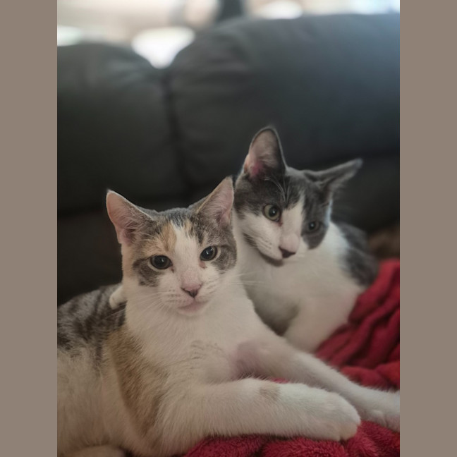 Photo of Cassidy / Cooper