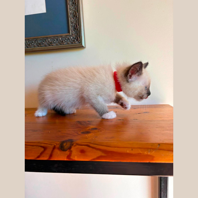 Photo of Reggie