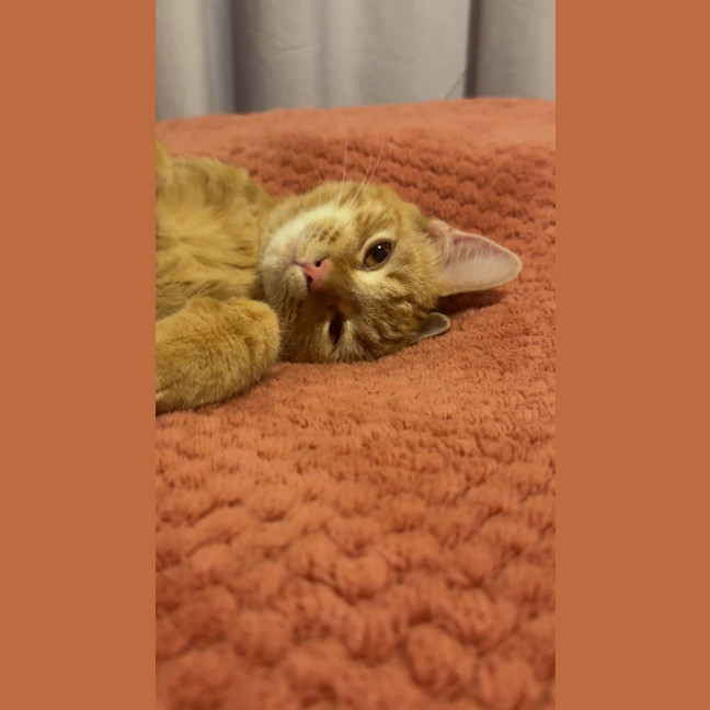 Photo of Jack