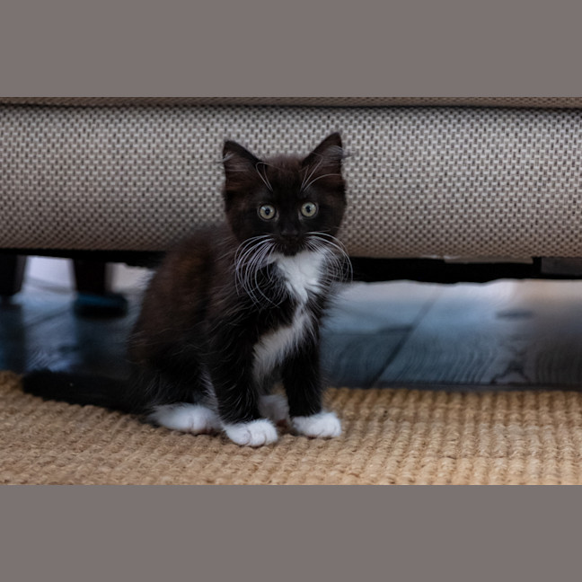 Photo of Ralph