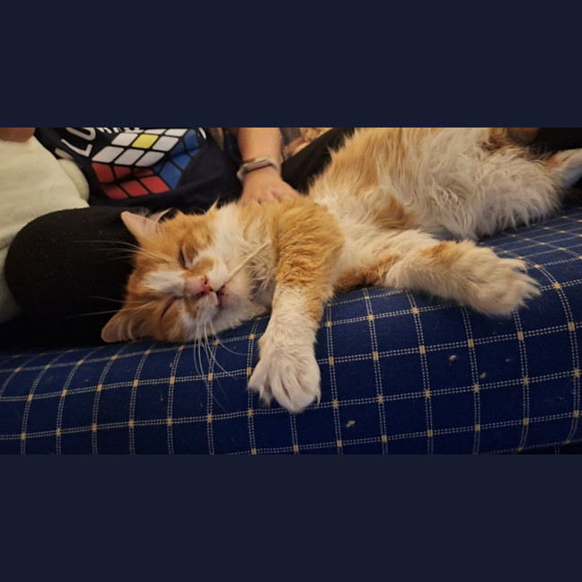 Photo of Rodger
