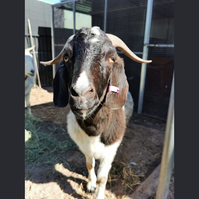 Photo of Carl