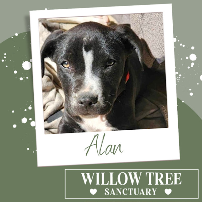 Photo of Alan