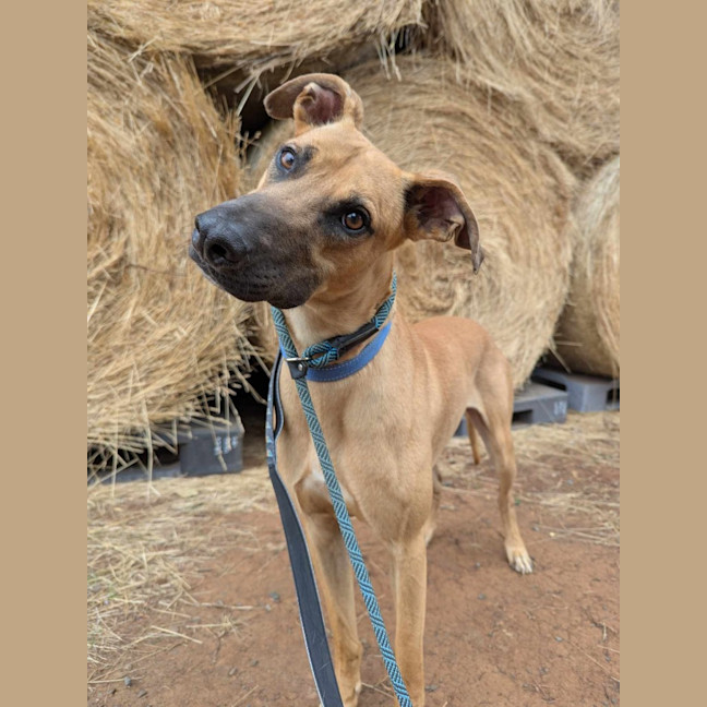 Photo of Gus