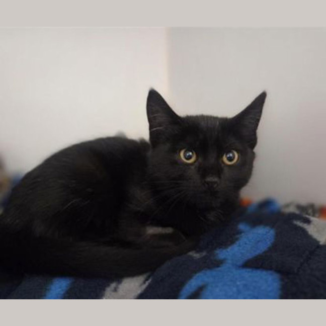 Photo of Kiki