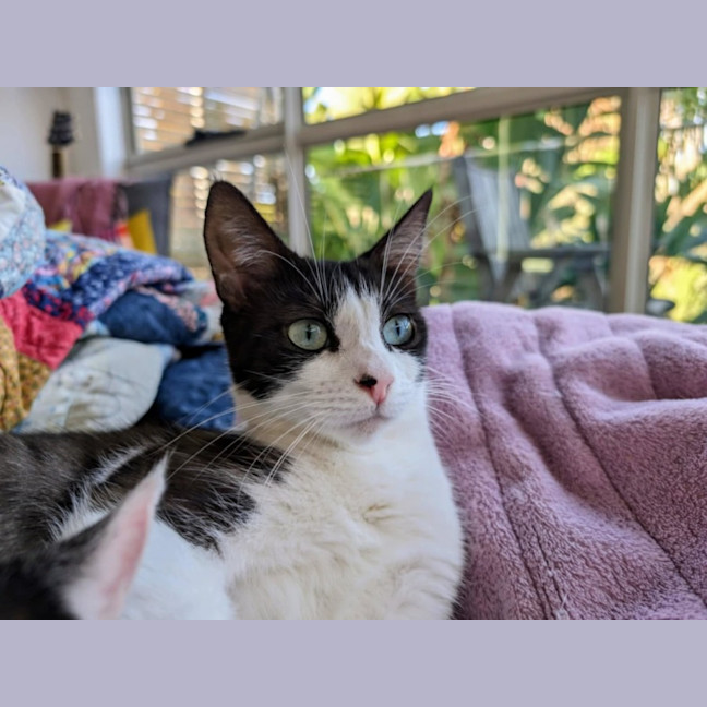 Photo of Francis 🌹🌹