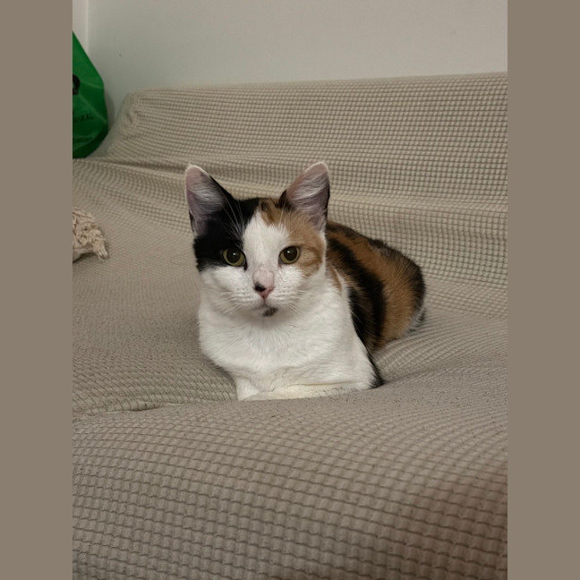 Photo of Margo (With Josie)