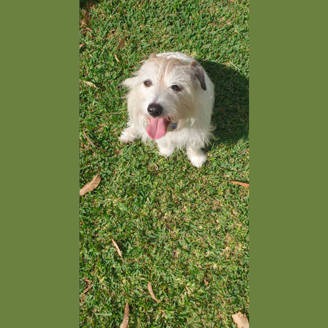 Photo of Archie