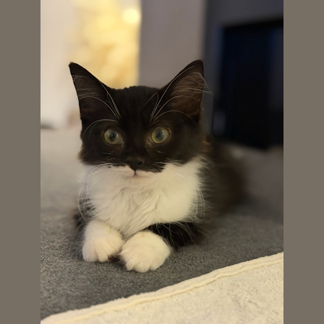 Photo of Riley