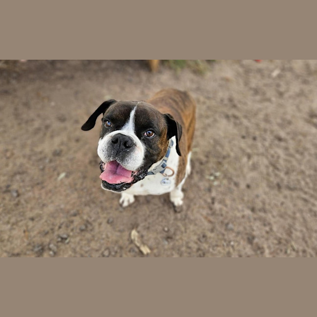 Photo of Ralphy