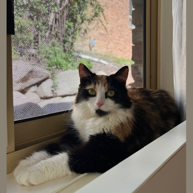 Photo of Edie
