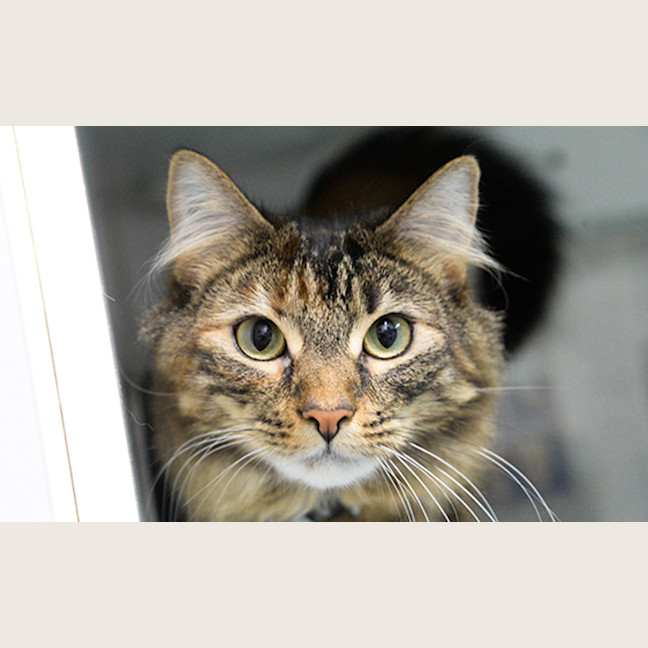 Photo of Freya