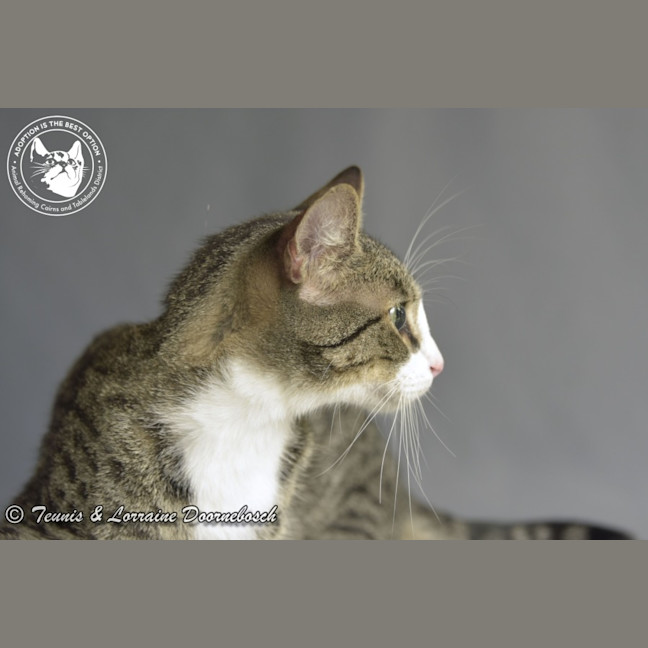 Photo of Dolly Parton