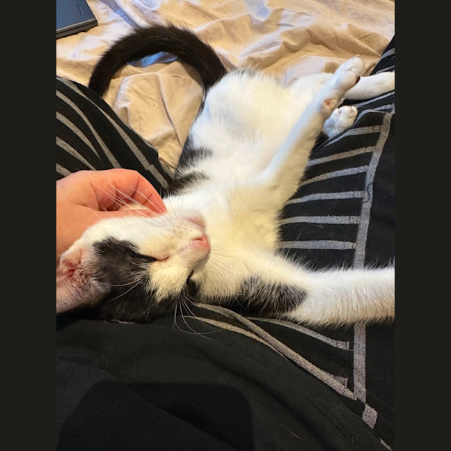 Photo of Violet And Klaus