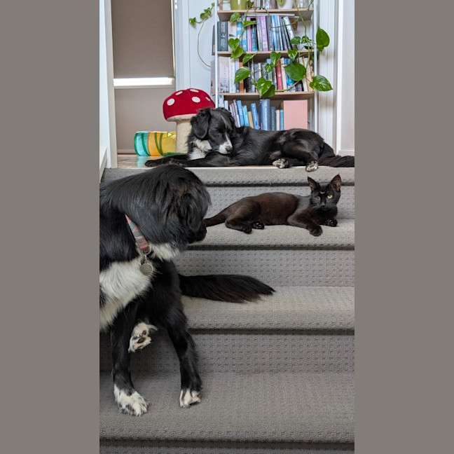 Photo of Luna Noirette