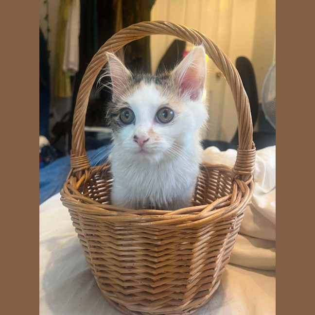 Photo of Winnie