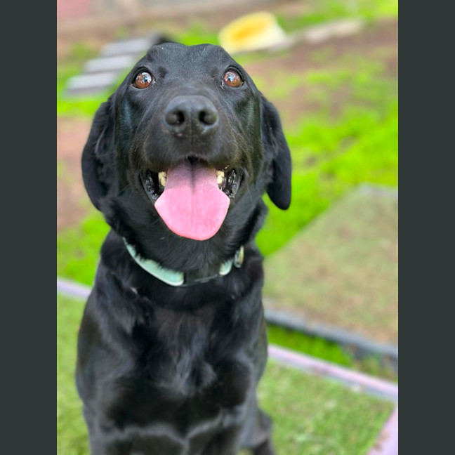 Photo of Lola