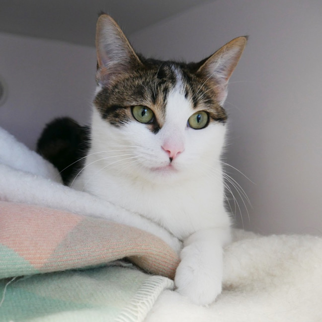 Photo of Lily  Sua013021