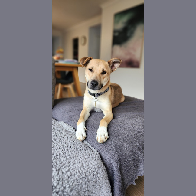 Photo of Kaybaby