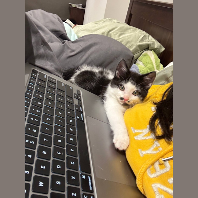 Photo of Felix