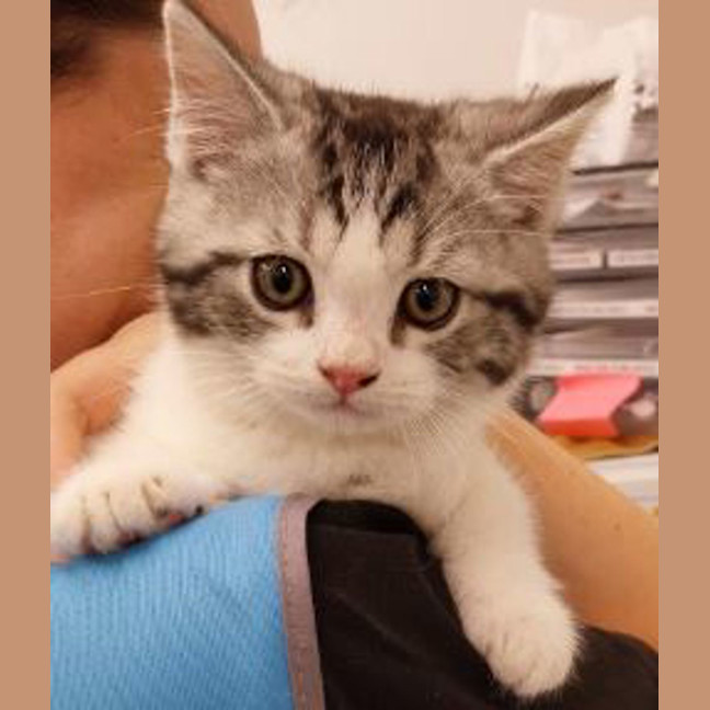 Photo of Malcolm The Mushroom