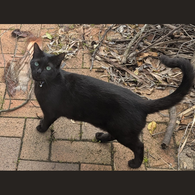 Photo of Emmy