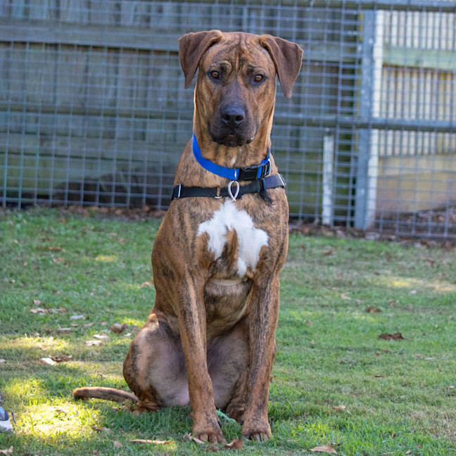 Photo of Ragnar