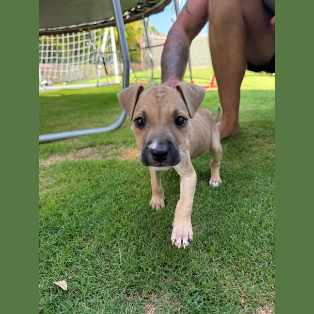 Photo of Tiny