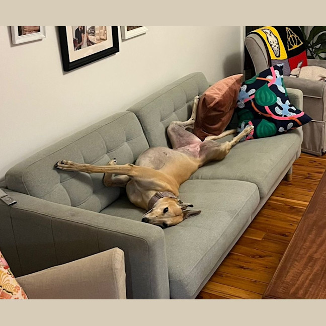 Photo of Sandy