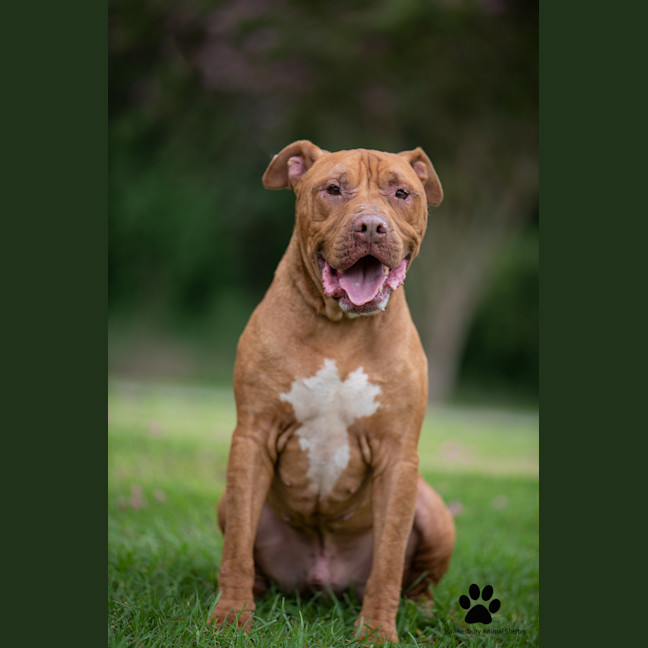 Photo of Bronx