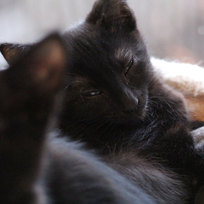 Photo of 🩷 Medina 🩷