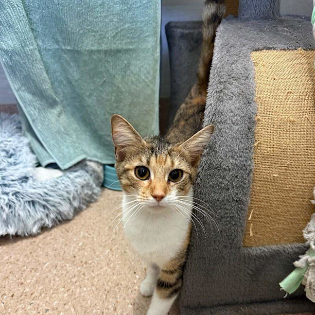 Photo of Gladys