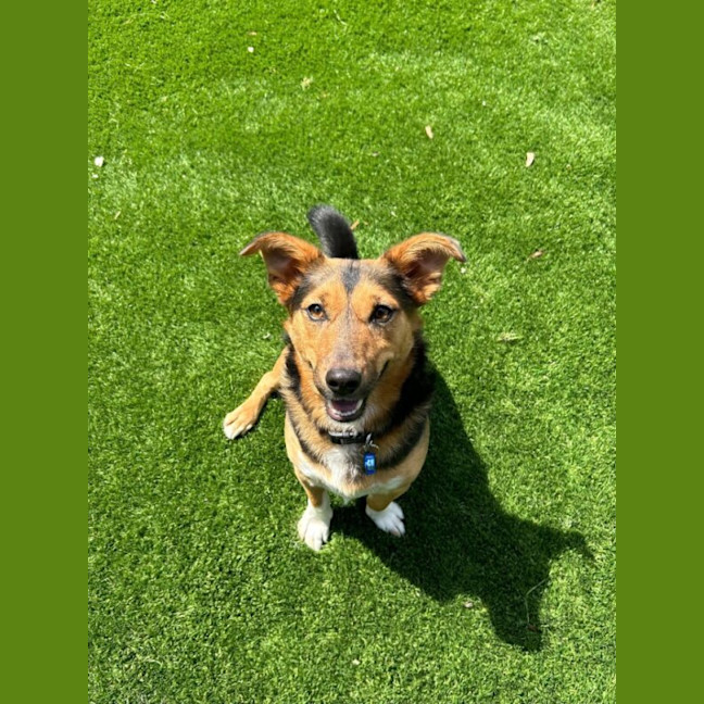 Photo of Wally