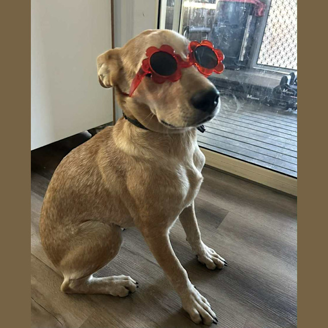 Photo of Benny