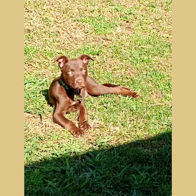 Photo of Oscar