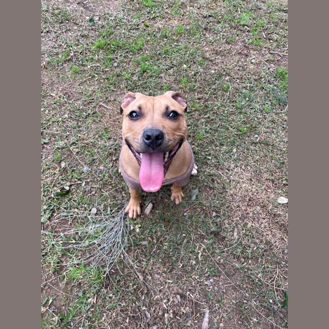 Photo of Luna