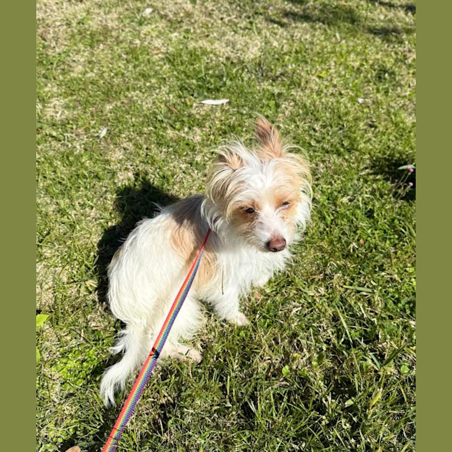 Photo of Bert (9003)