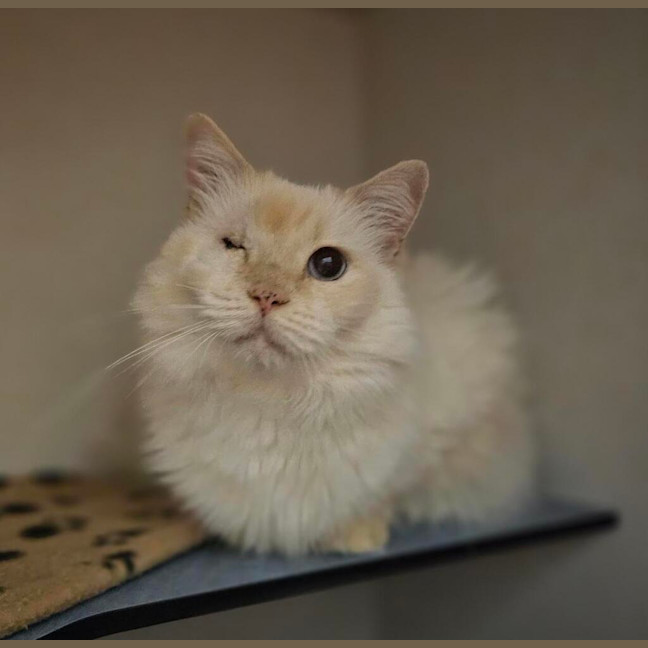 Photo of Winnie