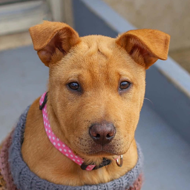 Photo of Ellie