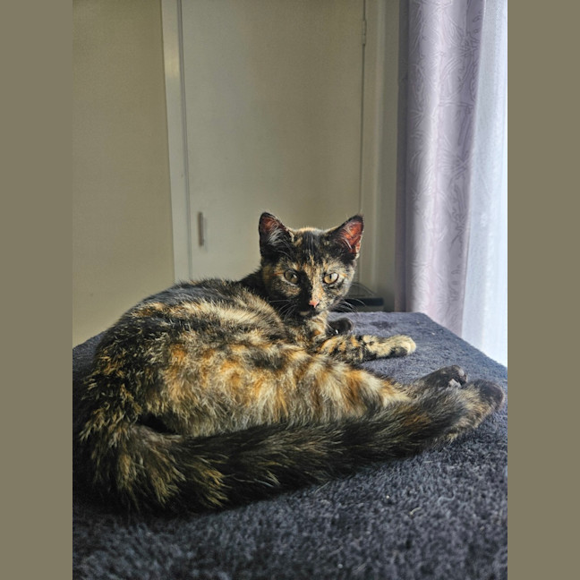 Photo of Jane (Now Maggie)