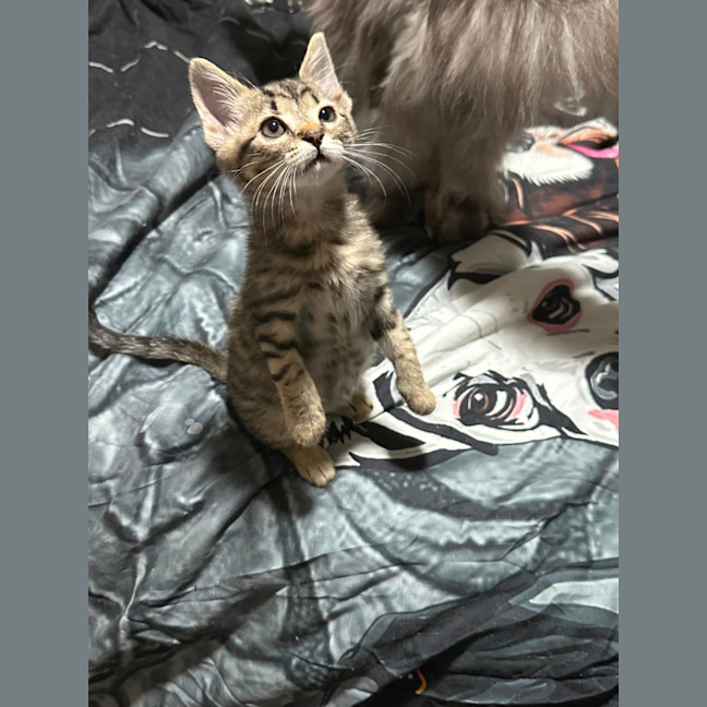 Photo of Luka 😻