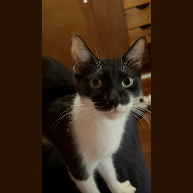 Photo of Mo
